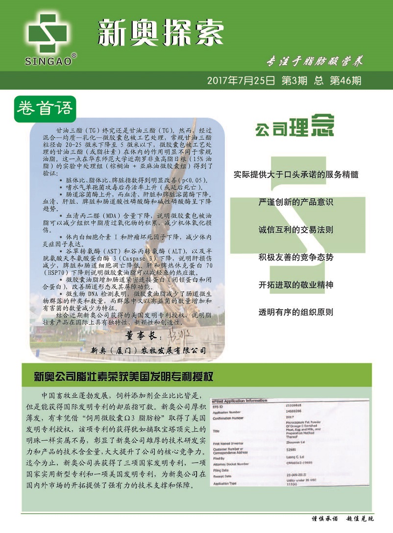 曝光：新澳2025免费大全请全面释义、解释与落实